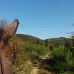 L'echappee Verte - Equestre 5 Pers * Soucht