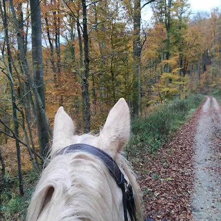 Tatil Evi L'echappee Verte - Equestre 5 Pers