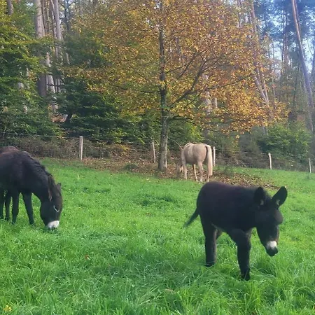 L'echappee Verte - Equestre 5 Pers
