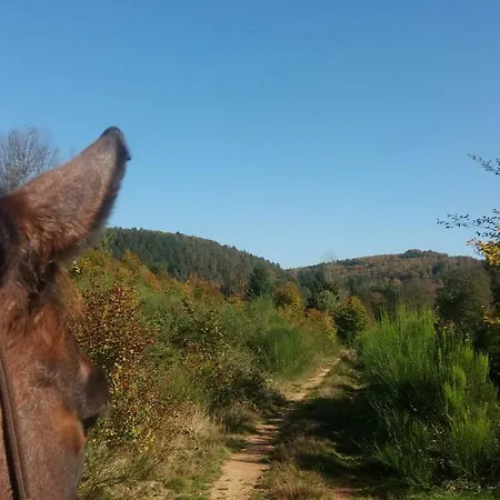L'echappee Verte - Equestre 5 Pers * Soucht