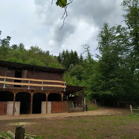 L'echappee Verte - Equestre 5 Pers